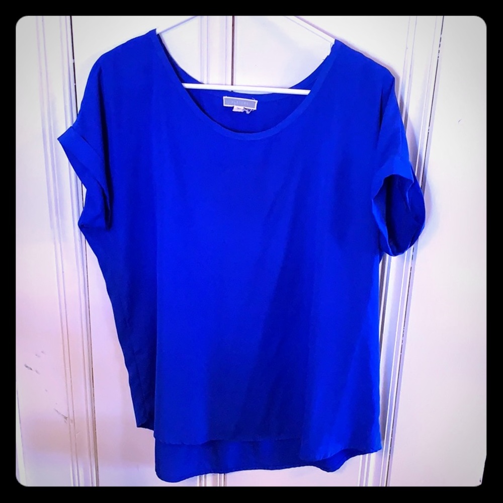 Blue Tunic